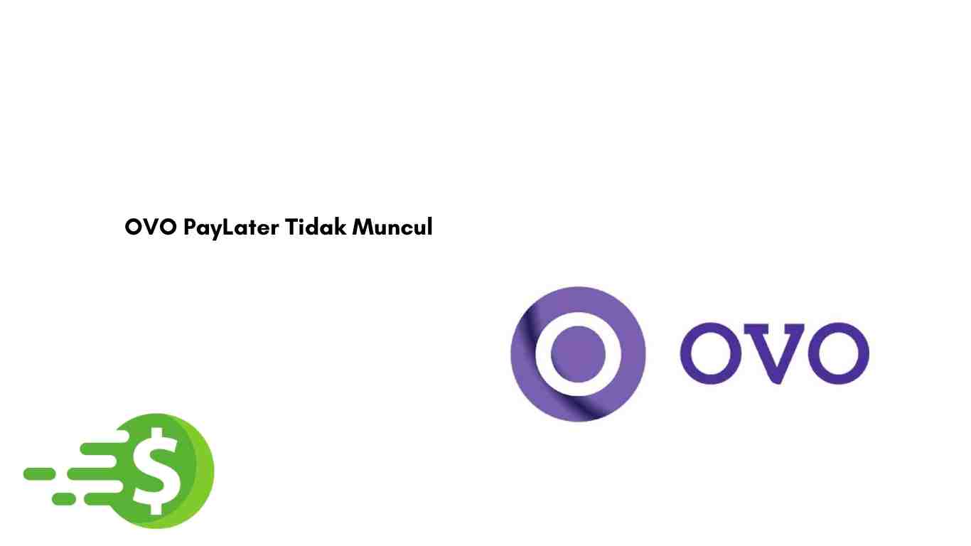 OVO PayLater Tidak Muncul